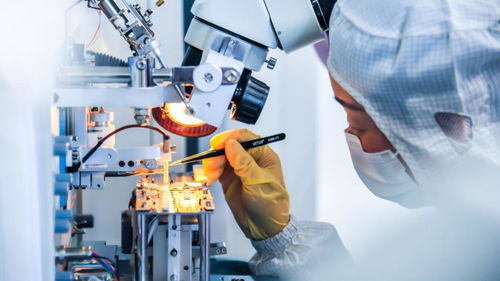 激勵(lì)更多年輕人走技能成才技能報(bào)國(guó)之路——以網(wǎng)絡(luò)科技技術(shù)開發(fā)為例